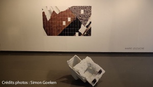 "Format à l'italienne VII", jusqu'au 6 Novembre, espace Le Carré, LILLE.