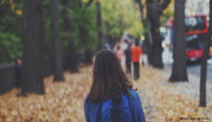 Article Harcèlement Scolaire