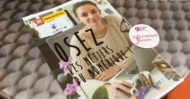 Numeriqu’elles Euratechnologies Femme Numérique
