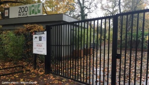 Zoo Lille