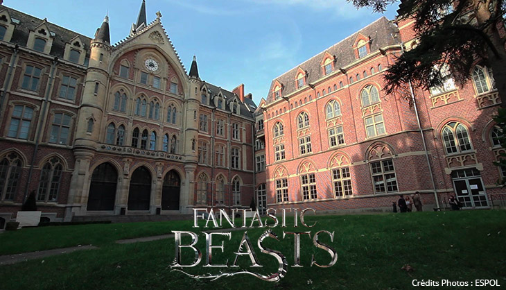 Animaux Fantastiques, Harry Potter, Université Catholique, Lille, David Yates