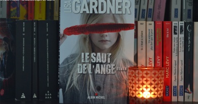 Lisa Gardner Lille Médiathèque Jen Lévy Le saut de l’ange Elle Wyatt Foster Tessa Leoni Roman Policier New York Times Etats-Unis Thriller