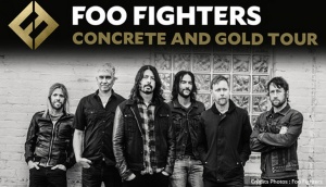 Foo Fighters Concert Anvers Lille Live Rock Music