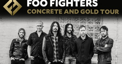 Foo Fighters Concert Anvers Lille Live Rock Music