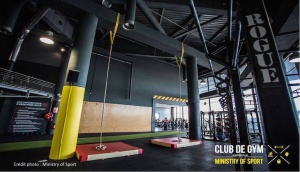 Sport Fitness Salle Sport Healthy Musculation Muscu
