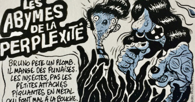 Frédéric Roch BD Bande Dessinée Art Livre bouquin librairie Dessin Bulles