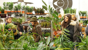 plantes Lille pas cher verdure cactus plantations vente salon