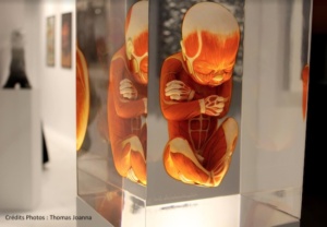 2018, exposition, art, contemporain, foire, moderne, visite, culture, Lille, Grand Palais