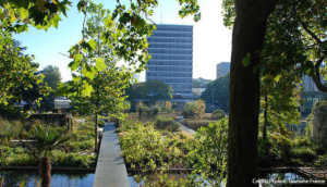 Jardins Geants Lille bassins nature