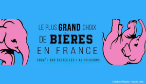 delirium lille biere choix alcool