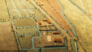 habitations végétation plan-reliefs